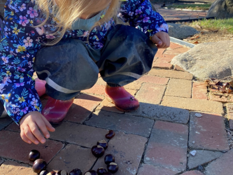 Girl outside counting chestnuts on the ground